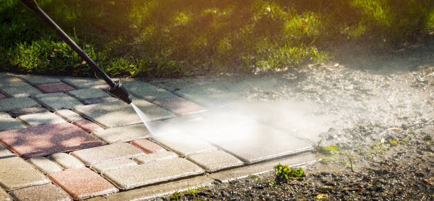 Best Gutter Cleaning  in Hallsville, TX
